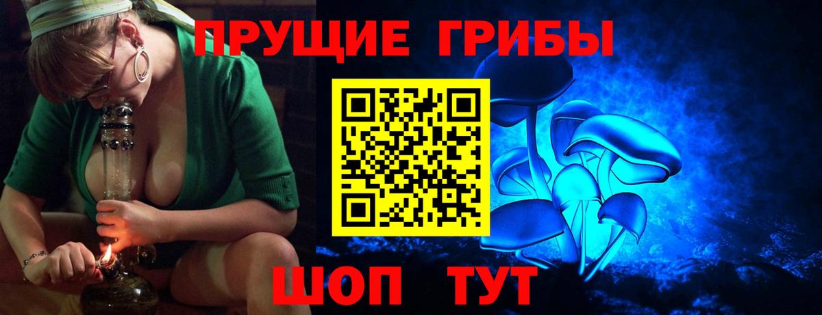 Псилоцибиновые грибы Magic Shrooms Великий Новгород