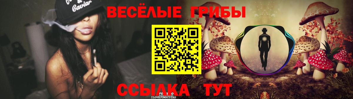 Великий Новгород  Псилоцибиновые грибы мухоморы  купить наркотики сайты  Галлюциногенные грибы Magic Shrooms  Вход с VPN 
